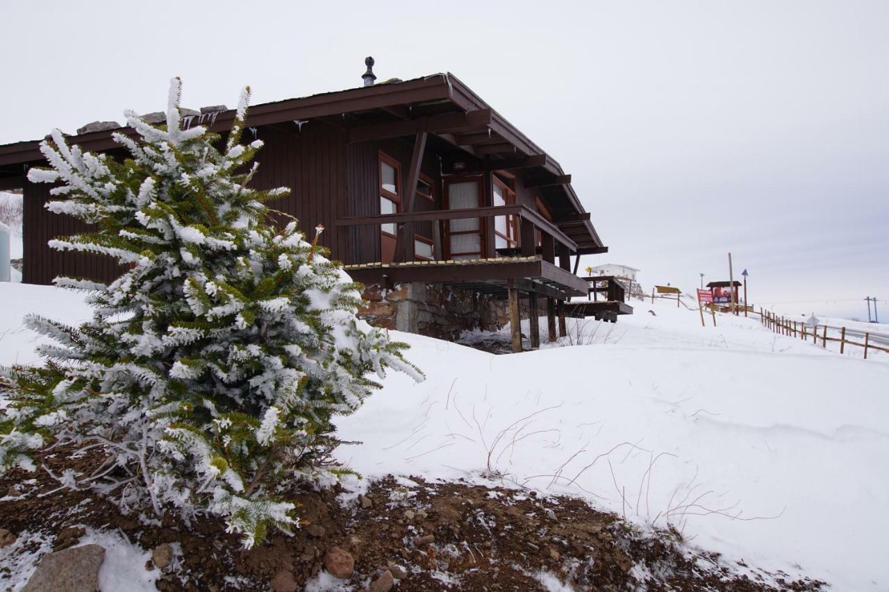 El Colorado Bungalows Luaran gambar